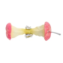 Paradise / Apple Core Spin Ring
