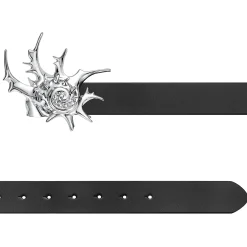 Rippe / Star Conch Belt